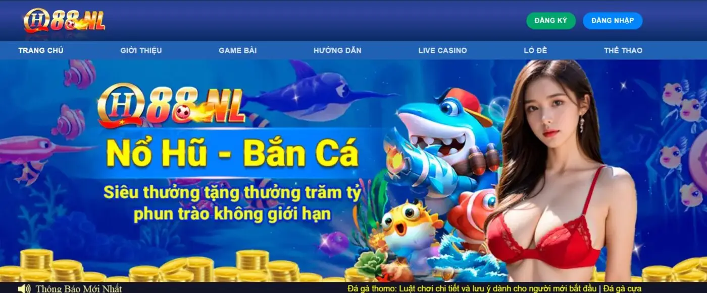 QH88 vươn lên dưới sự dẫn dắt của CEO Dustin Nguyễn